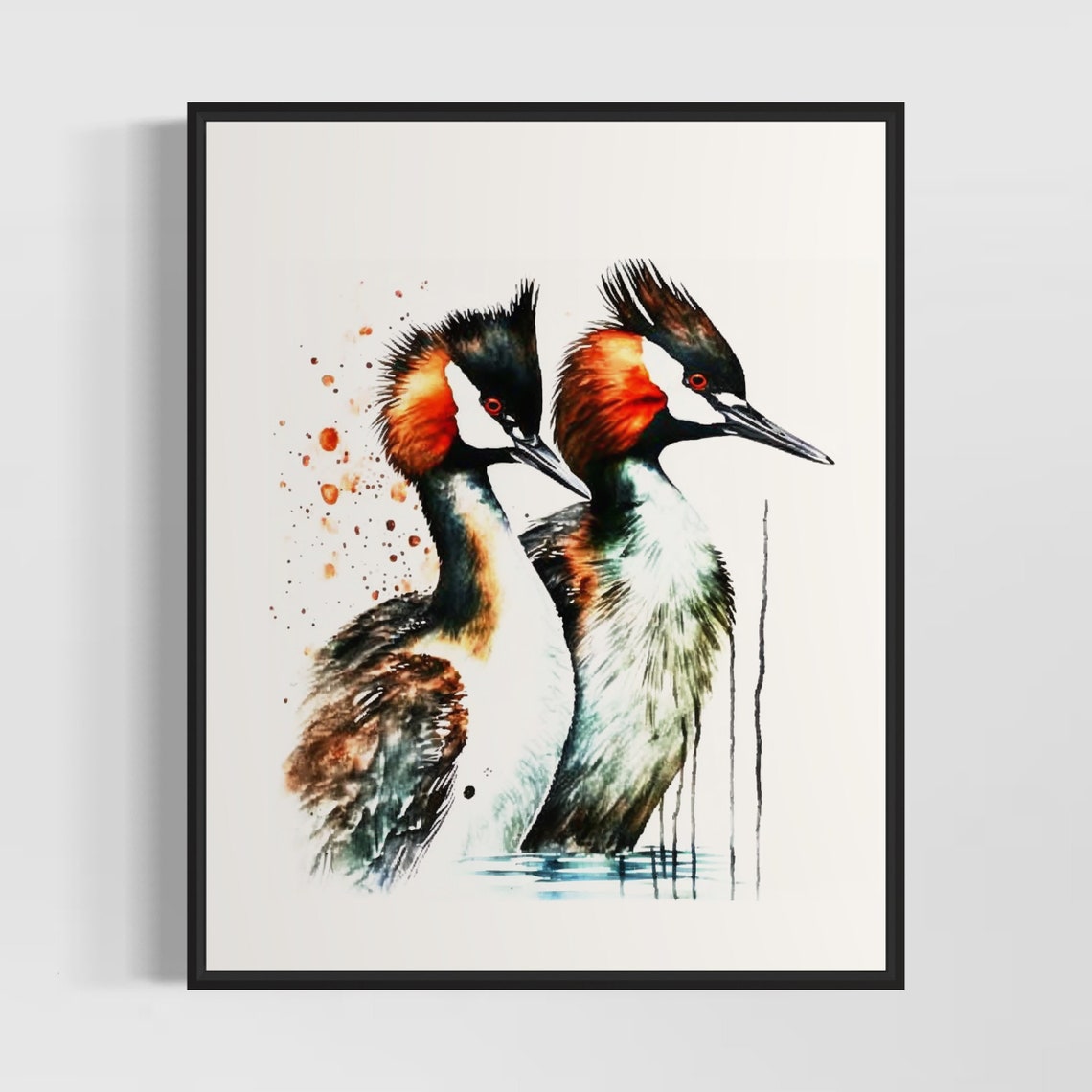 Pair Of Great Crested Grebes In Delicate Watercolor Art Poster