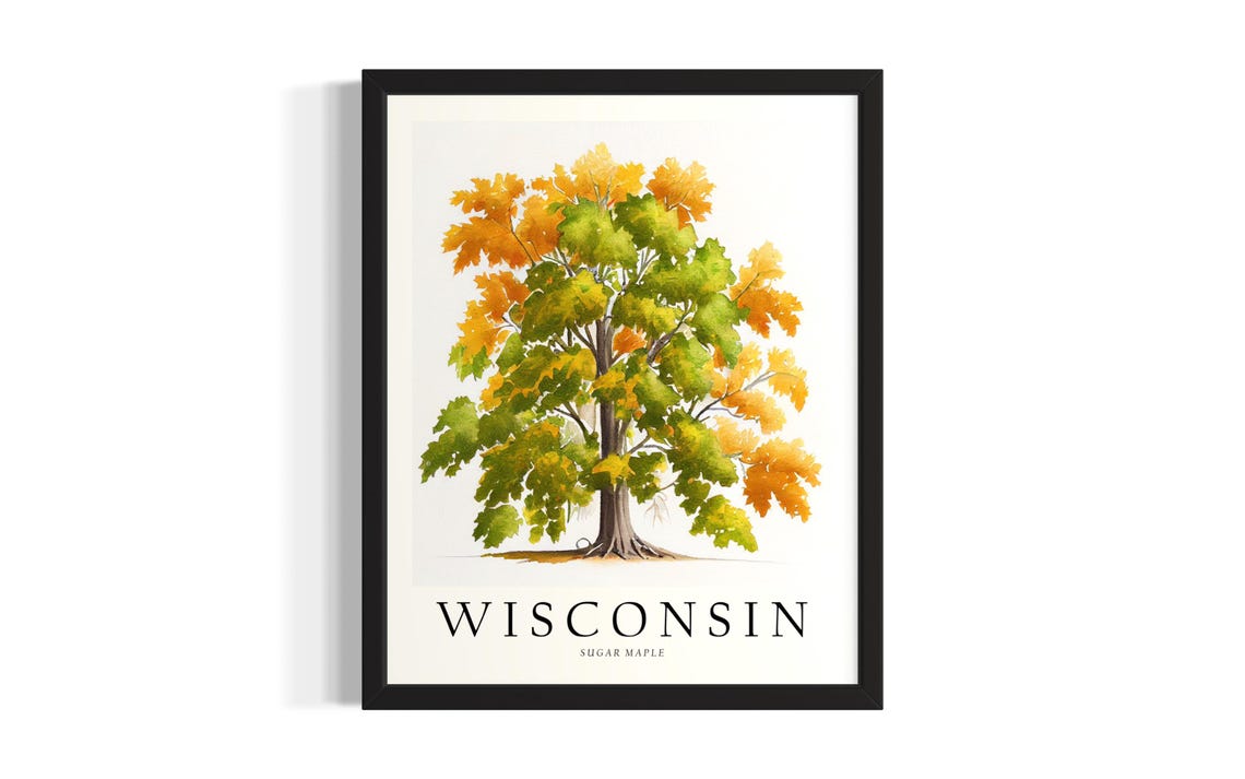 Wisconsin Sugar Maple Autumn Tree Botanical Watercolor Poster