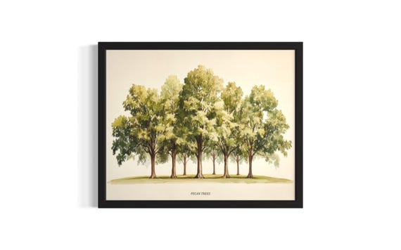 Pecan Trees Poster Art Print Living Room Wall Original Painting Artwork Decor