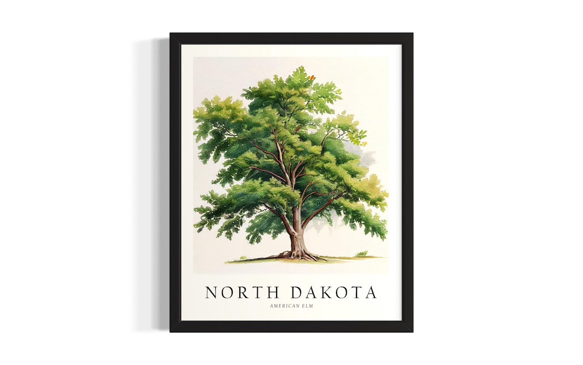 North Dakota American Elm Tree Botanical Watercolor Art Poster