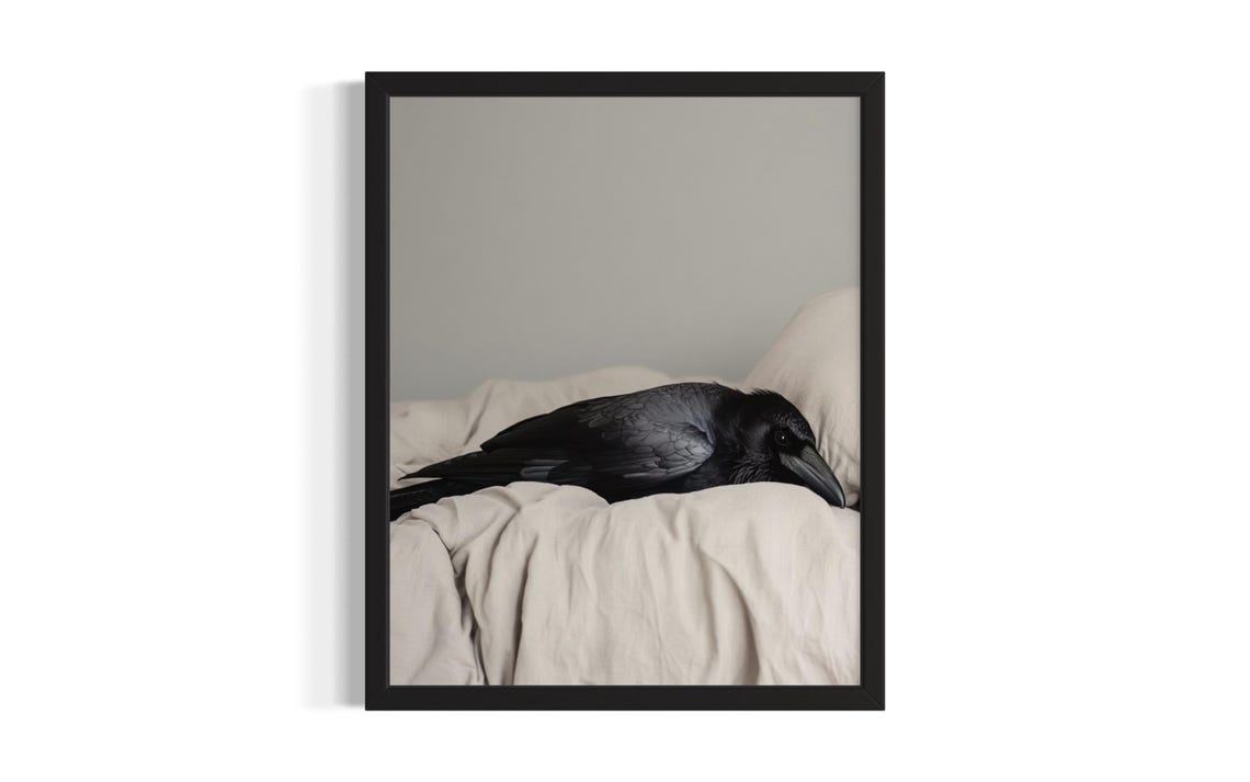 Black Crow Resting on White Bedding Minimalist Bird Portrait Poster