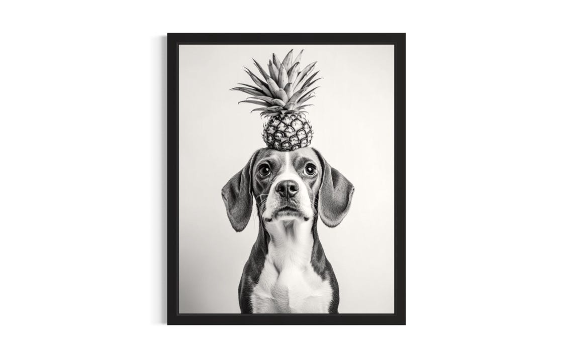 Beagle Balancing Pineapple Black And White Dog Portrait Poster