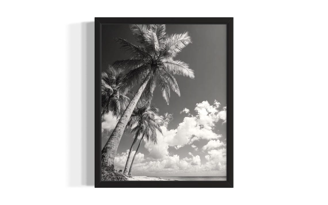 Black and White Tall Palm Trees Against Sky Beach Photo Poster