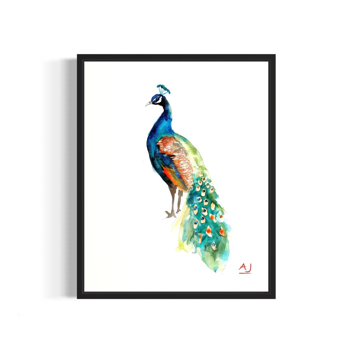 Peacock With Iridescent Tail Feathers Watercolor Painting Poster