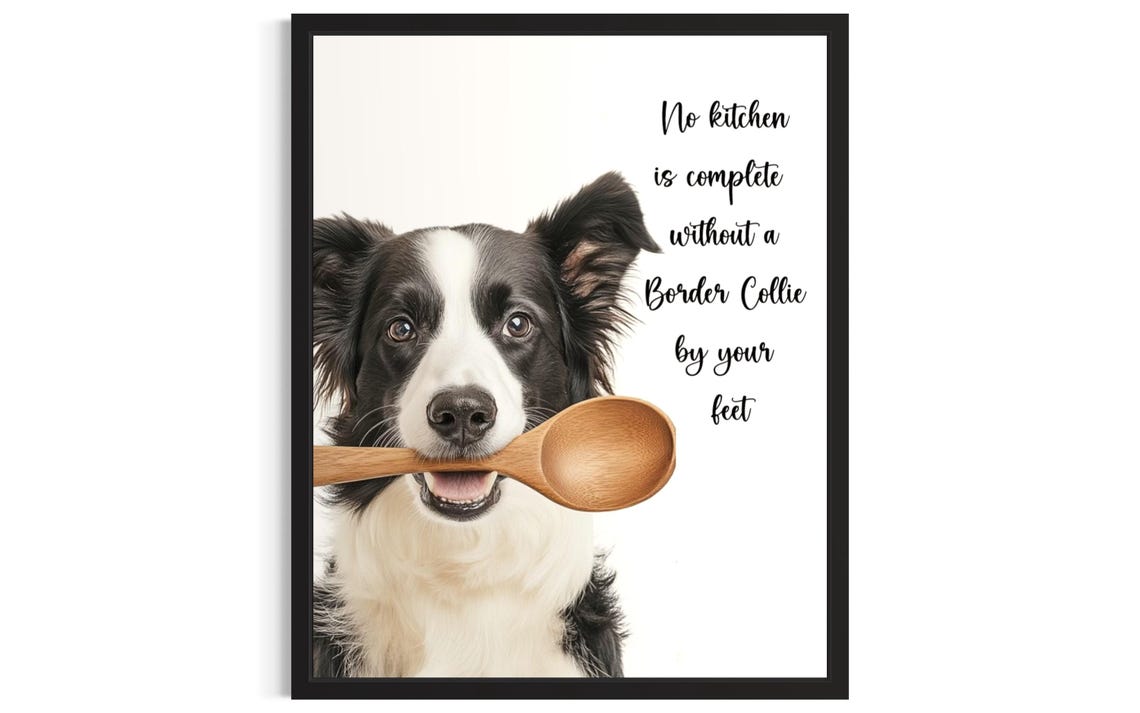 Cute Border Collie Dog Gripping Wooden Spoon Kitchen Wall Decor Poster