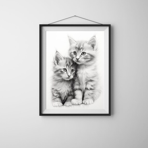 Fluffy Tabby Kitten Duo Black And White Cuddling Kittens Portrait Poster