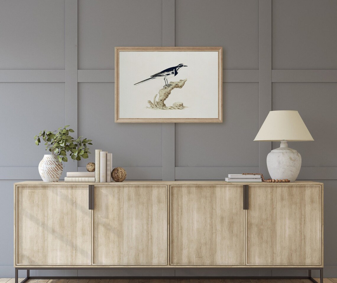 African Wagtail Vintage Bird Painting, Neutral Decor Art - Image 4