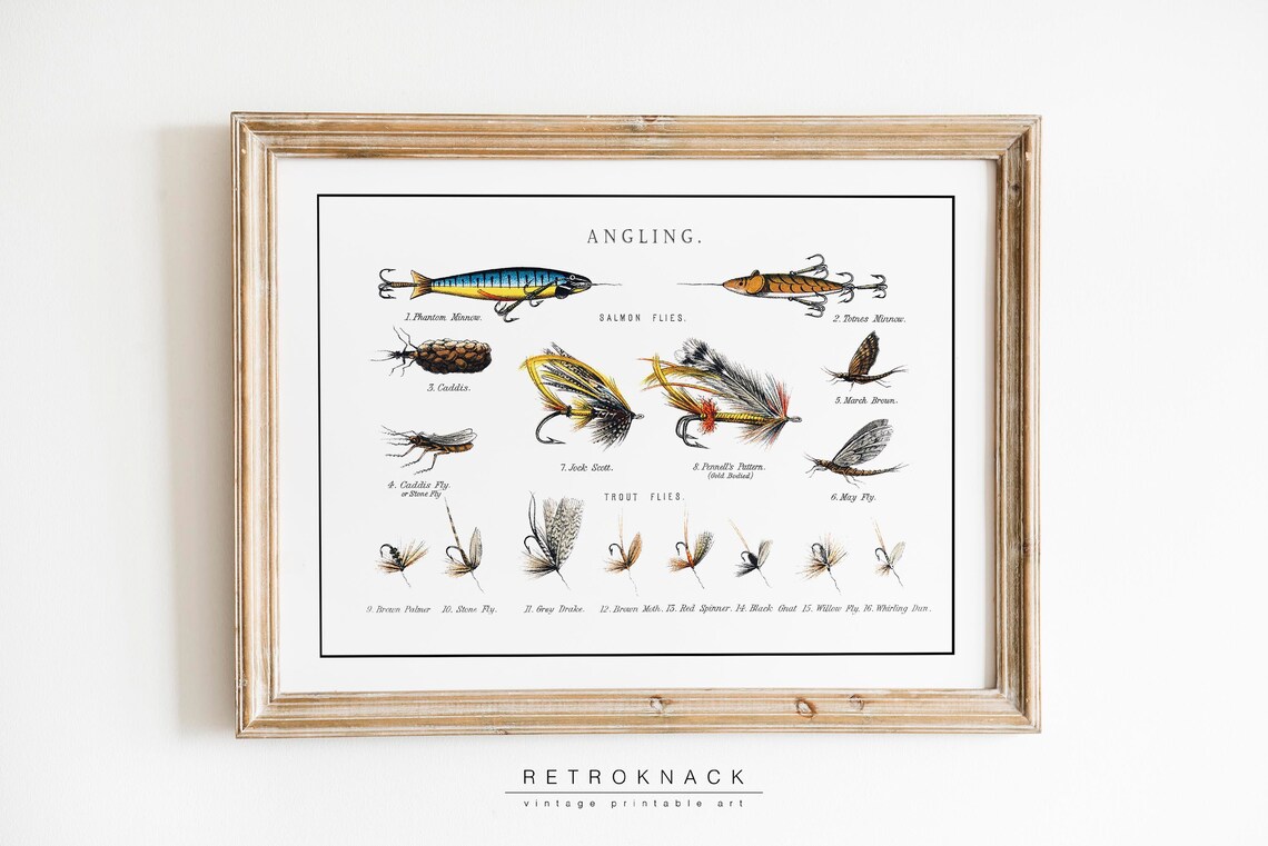 Vintage Angling Salmon and Trout Fly Fishing Flies Chart Poster