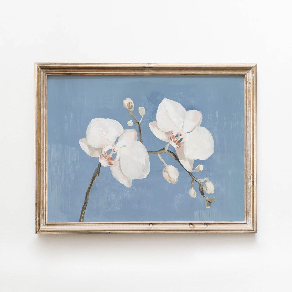 Soft White Orchid Blooms, Vintage Botanical Art Print