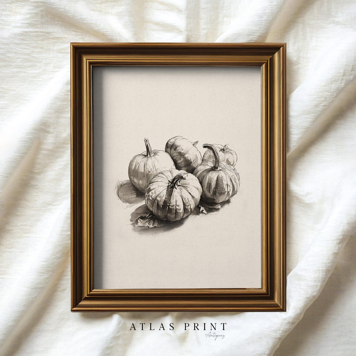Vintage Pumpkin Still Life Sketch Four Pumpkins Fall Wall Art - Image 5