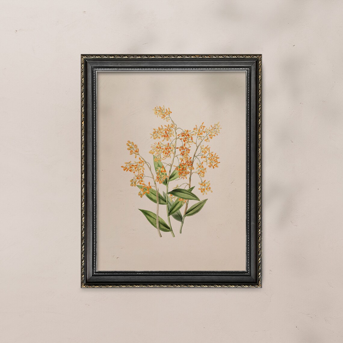 Antique Orange Orchid Botanical Illustration Vintage Floral Art Poster - Image 3