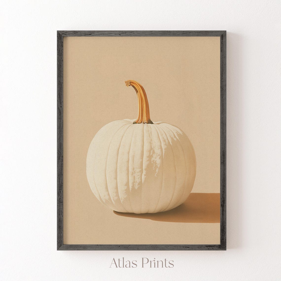 White Pumpkin Minimalist Autumn Photography Neutral Fall Poster - Image 5