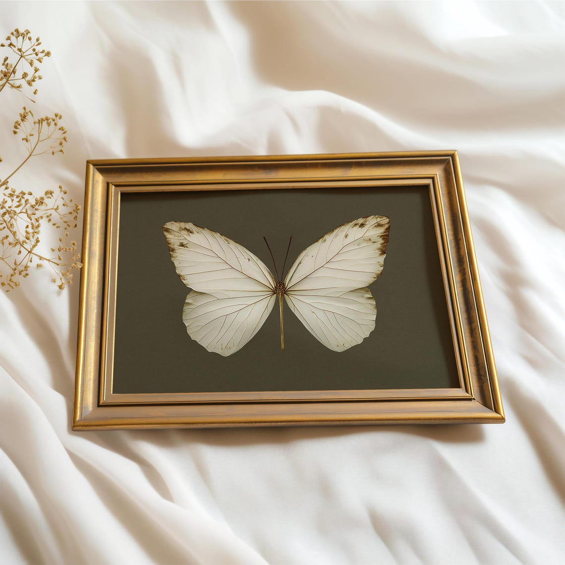 Vintage White Butterfly Specimen Dark Moody Insect Study Wall Art - Image 3