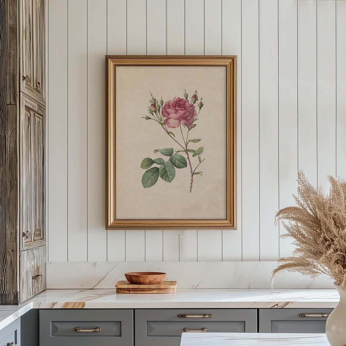 Vintage Pink Rose Botanical Illustration Single Bloom Wall Poster - Image 5