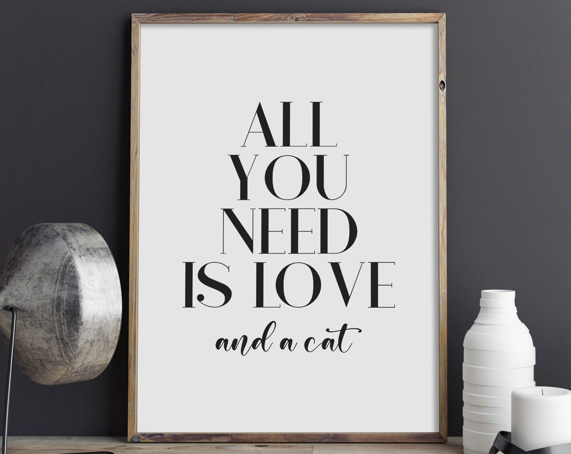All You Need Is Love And A Cat Funny Cat Lover Quote Typography Poster