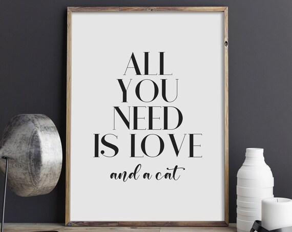 All You Need Is Love And A Cat Funny Cat Lover Quote Typography Poster