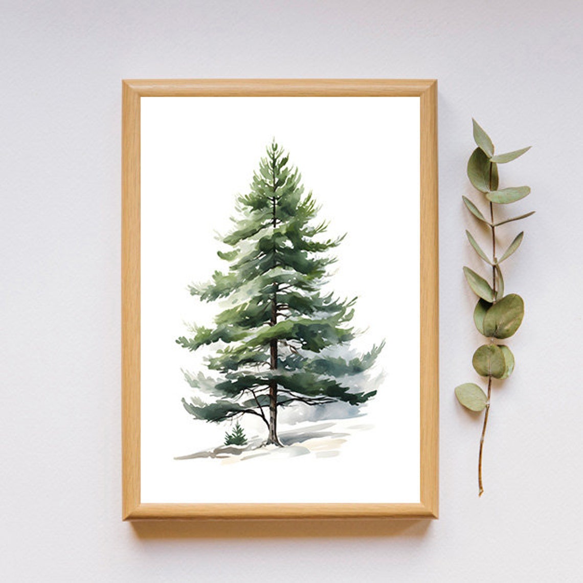 Watercolor Pine Tree Study On A Clean White Background Poster - Image 2