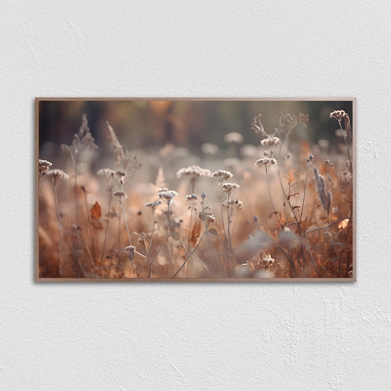 Golden Wildflower Field Soft Focus Warm Meadow Landscape Print