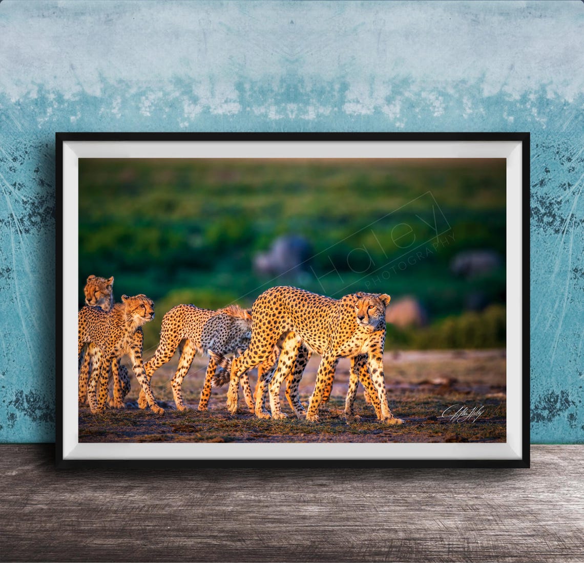 Safari Cheetah Art Print Bold Black White Maasai Style