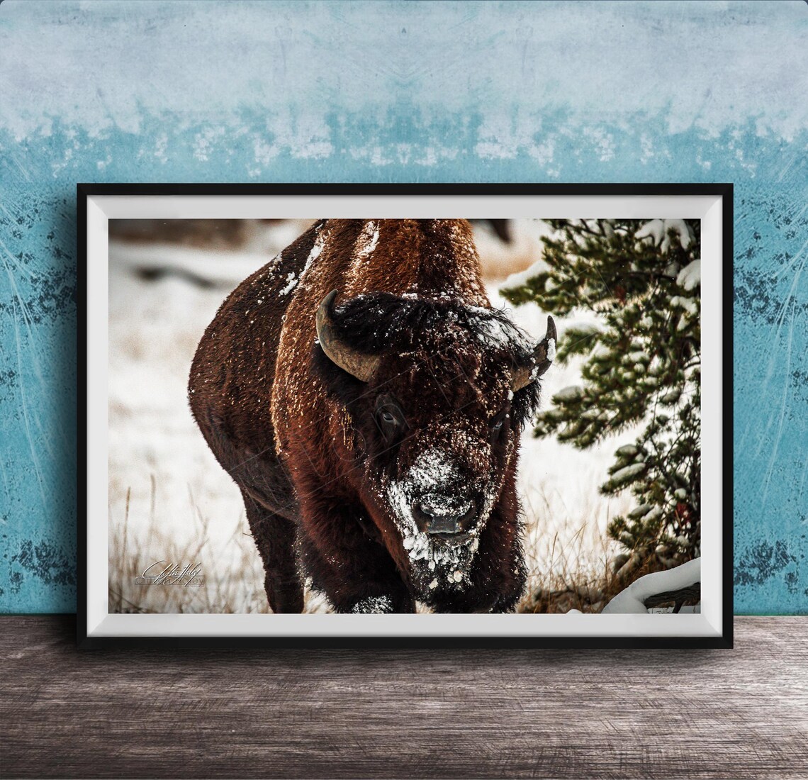 Bison Photo Print Snowy Winter Landscape Framed Or Canvas