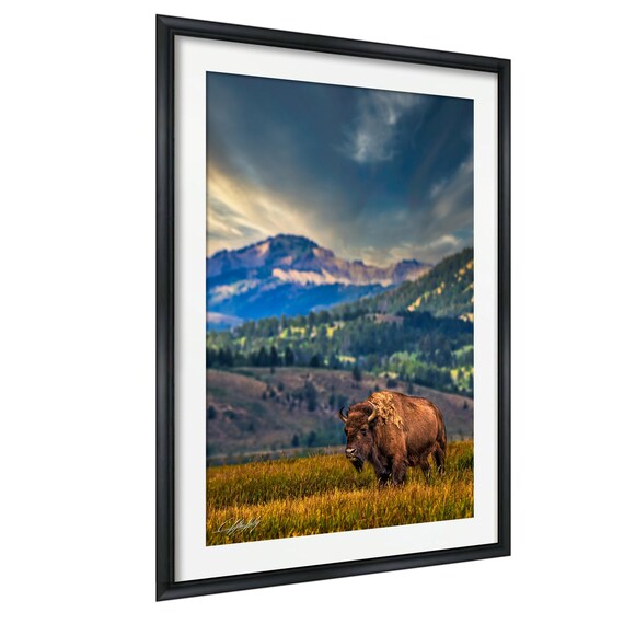 Western Bison Wall Art Large Rustic Canvas With Artist Signature