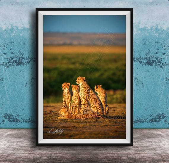 Safari Cheetah Art Print Maasai Mara Wildlife Black White