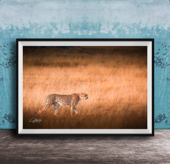 Maasai Cheetah Wall Art Bright Safari Animal Print Over Couch