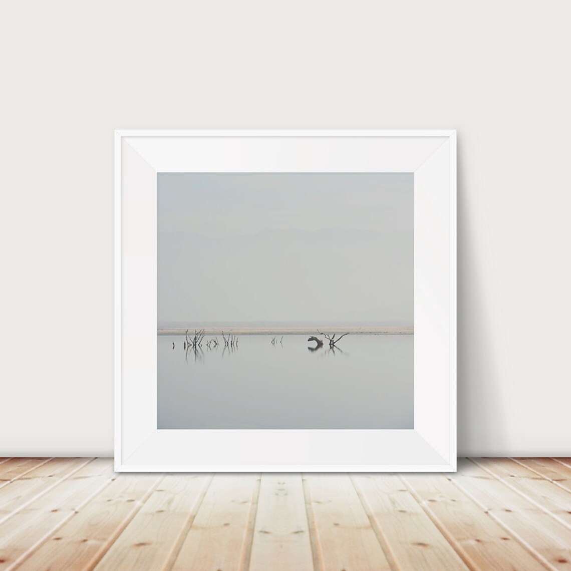 Lake Isabella Minimalist Foggy Lake With Submerged Trees Poster