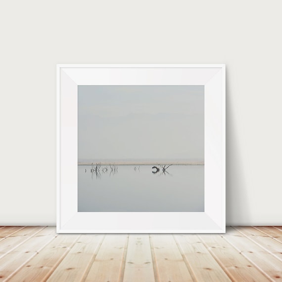 Lake Isabella Minimalist Foggy Lake With Submerged Trees Poster