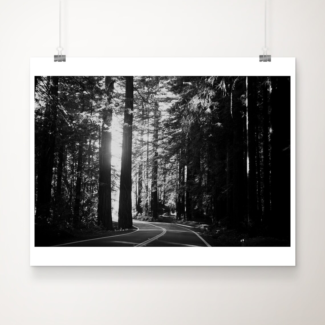 Giant Redwoods Black And White Art Print