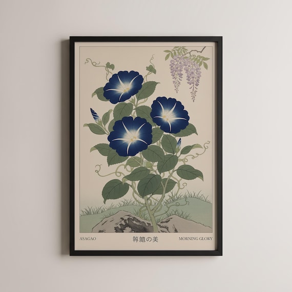 Asagao Morning Glory Japanese Woodblock Floral Artwork Poster