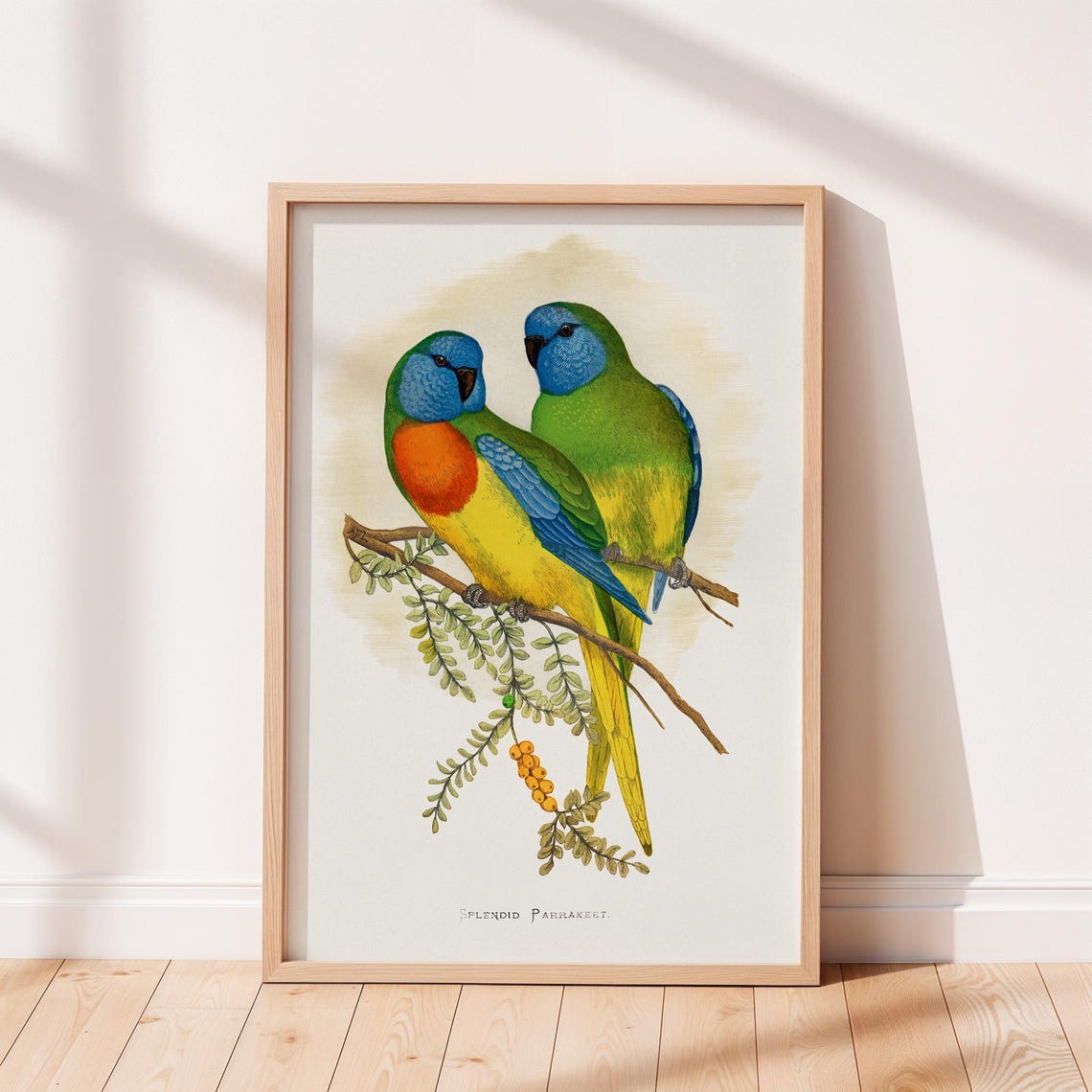 Splendid Parakeet Vintage Print Bird Poster Antique Animal Painting Wall Art Decor Illustration