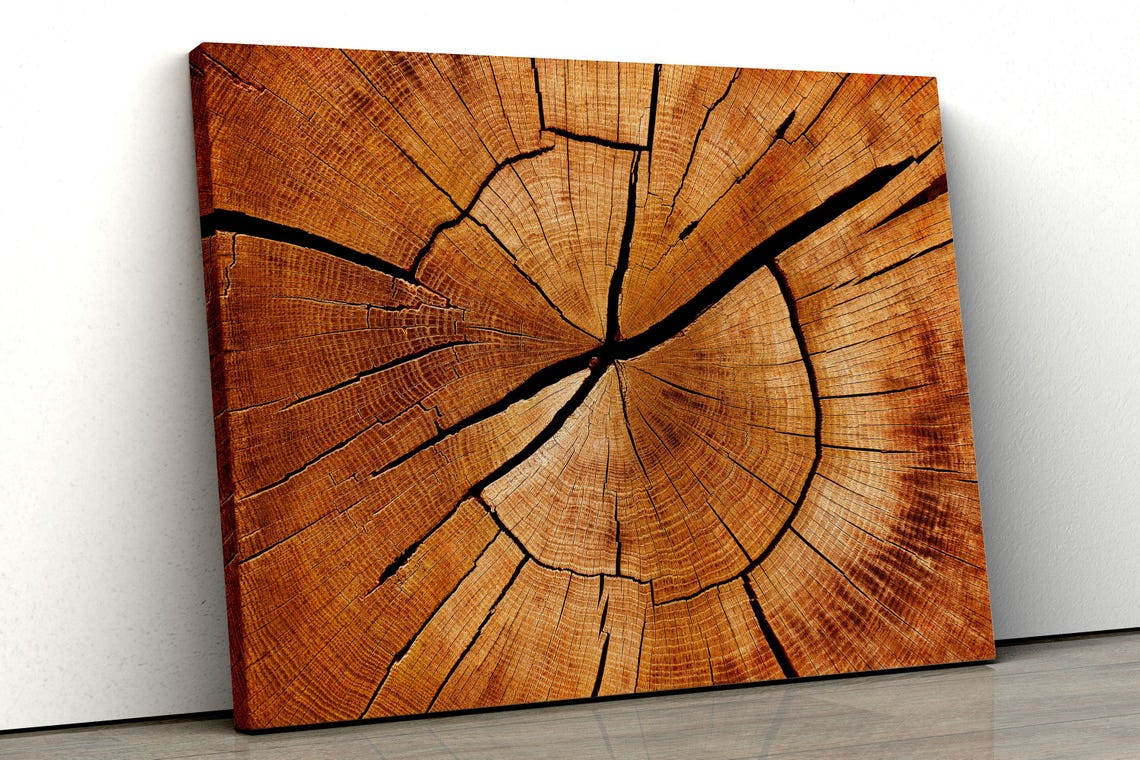 Wooden Texture Wall Art Rustic Tree Rings Print Nature Inspired Home Decor Wall Art - Image 3