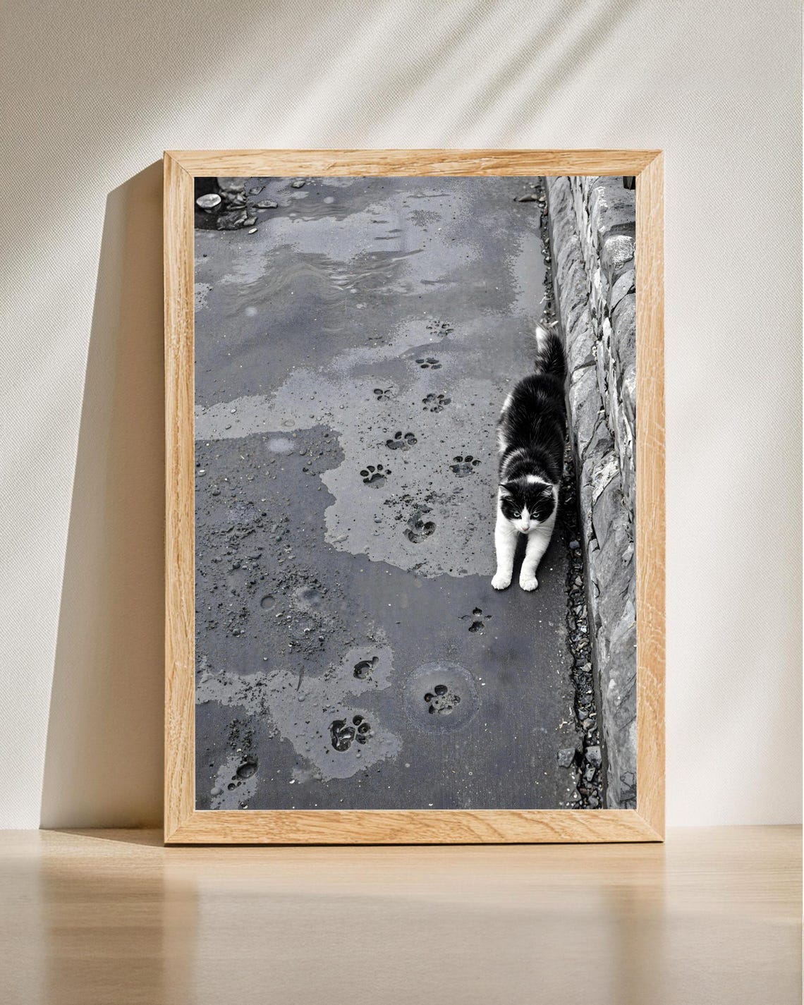 Black White Cat Pawprints Wet Pavement Urban Street Photo Poster
