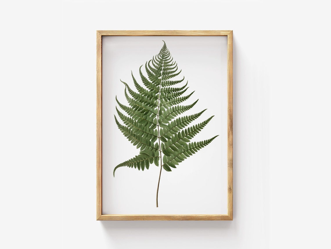 Fern Botanical Print Vintage Style Green Leaf Nature Wall Decor
