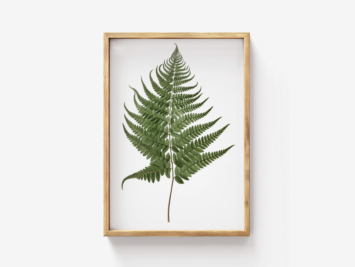 Fern Botanical Wall Art Vintage Style Print
