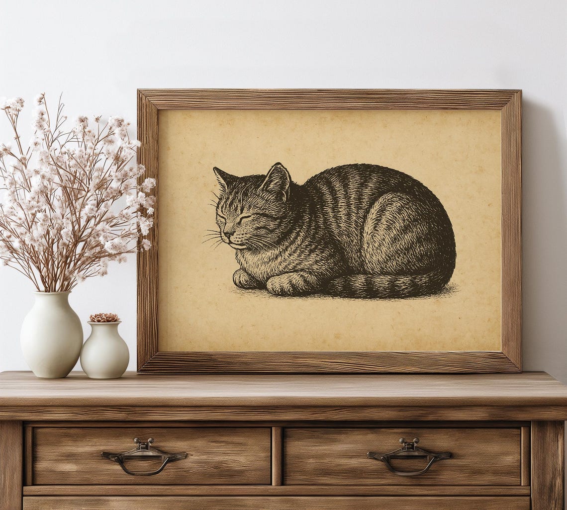 Sleeping Tabby Cat Vintage Engraving Cozy Rest Pet Art Poster
