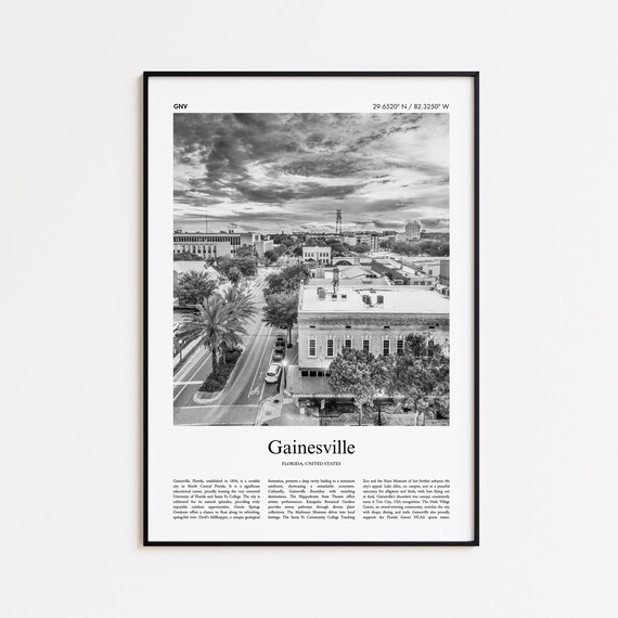 Gainesville Florida Black and White Aerial Downtown Photo Poster