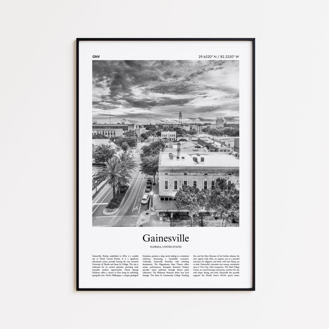Gainesville Florida Black and White Aerial Downtown Photo Poster