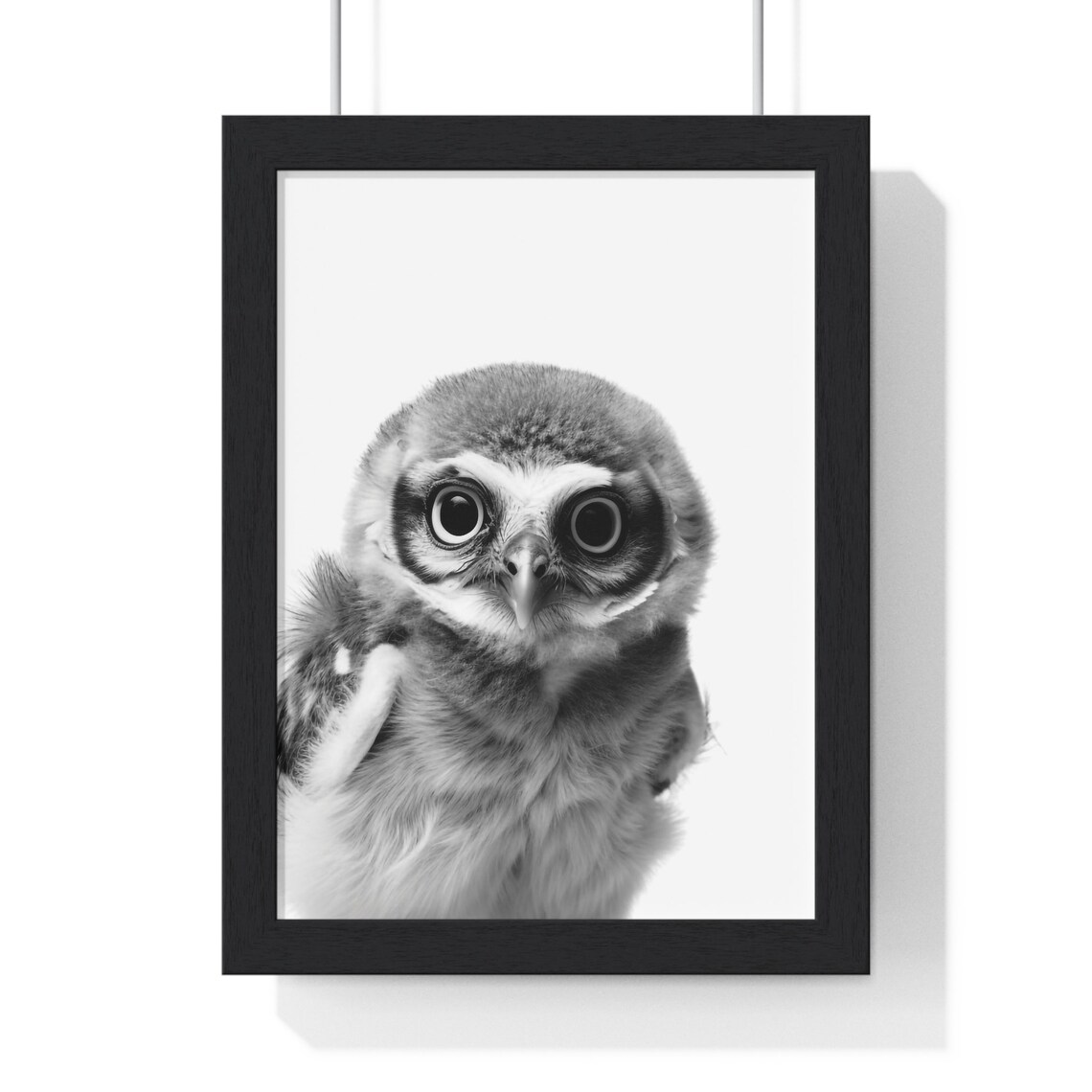 Wide-Eyed Baby Owl Portrait in Black and White Nursery Poster - Image 2