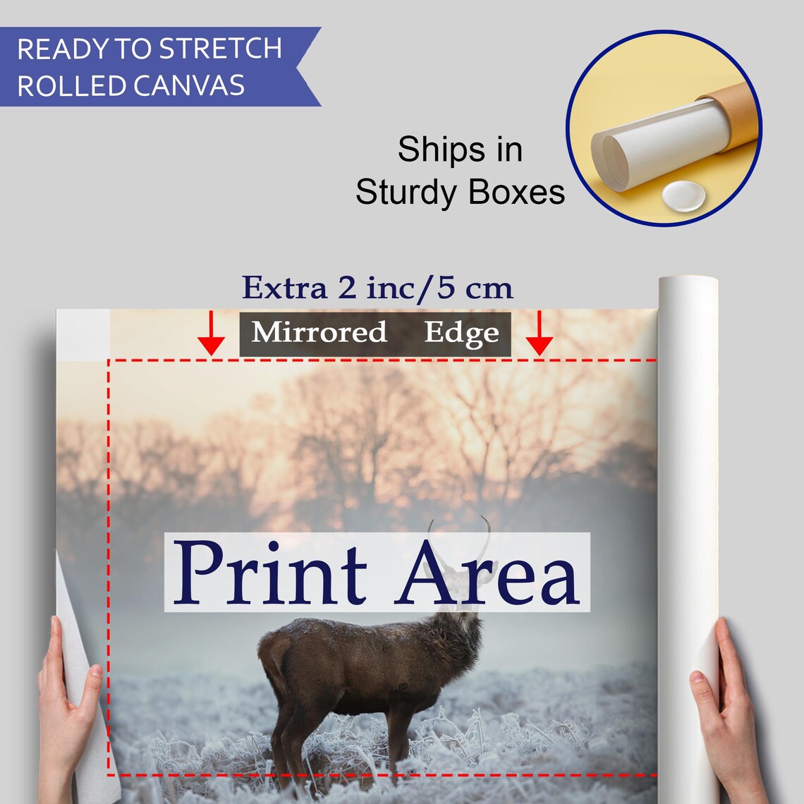 Majestic Deer Stag in Frosty Winter Morning Mist Wildlife Photography Poster - Image 4