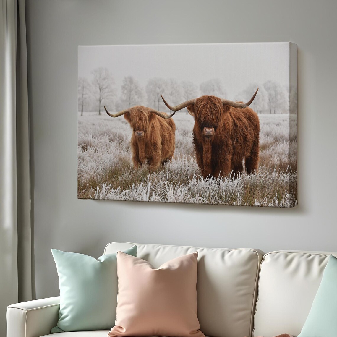 Scottish Highland Cattle Pair Frosty Winter Field Photography Poster