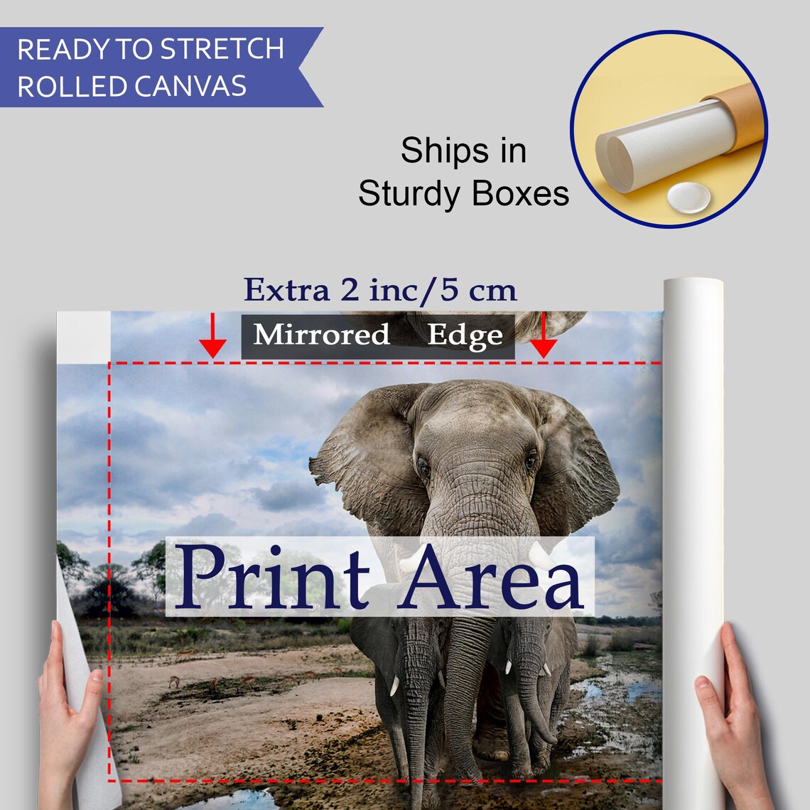 Mother Elephant With Two Calves Walking Safari Waterhole Photo Poster - Image 4