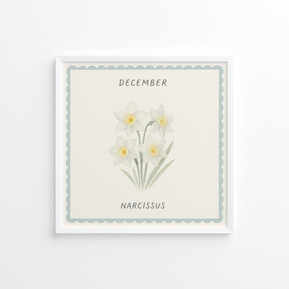 December Birth Flower Poster Narcissus Illustration Vintagestyle Square Print