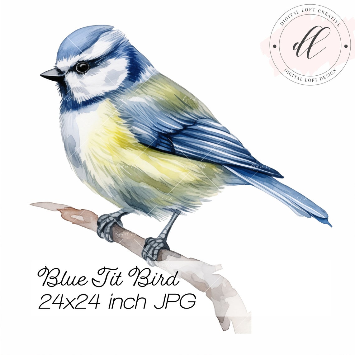 Blue Tit Songbird Perched Watercolor Garden Bird Portrait Poster