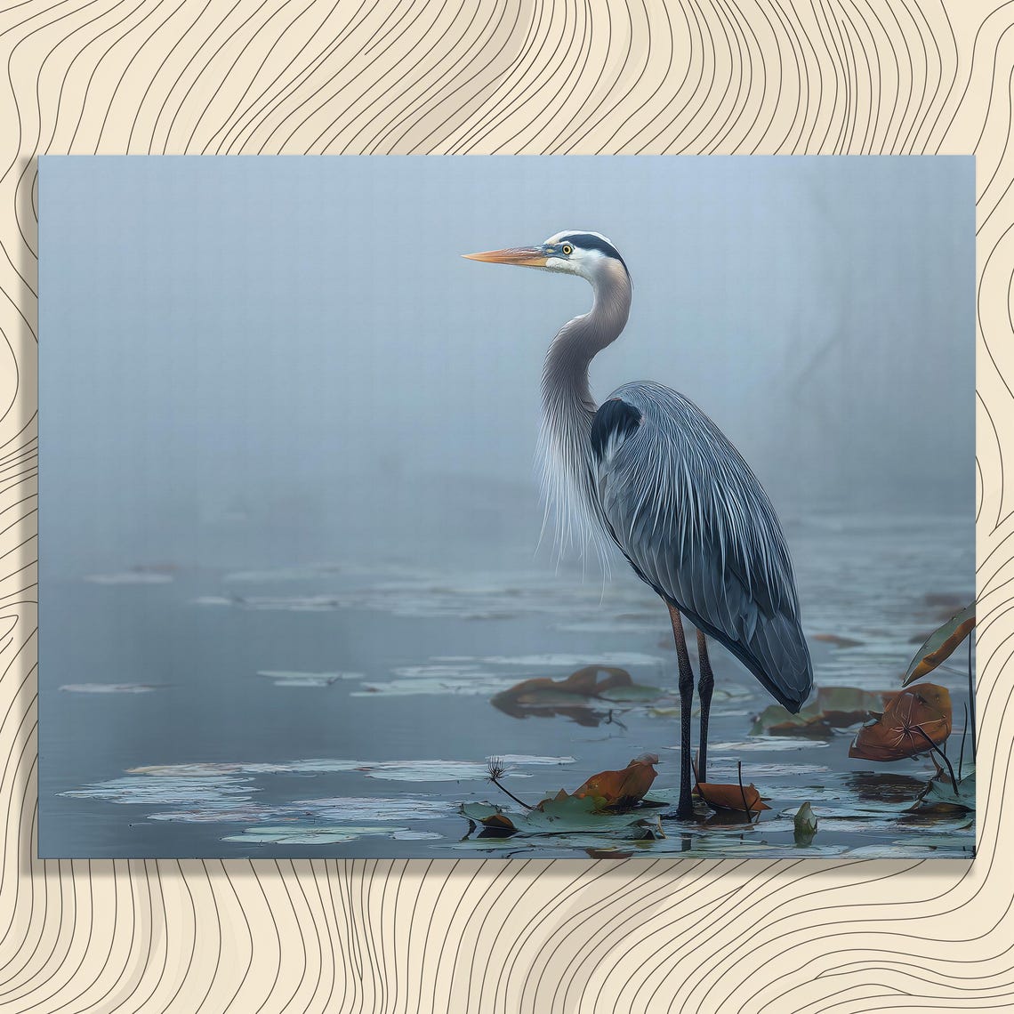 Great Blue Heron Wading Through Misty Marsh Waters Wildlife Print