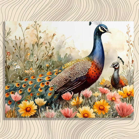 Peacock And Chick Canvas Wall Art Watercolor Bird Garden Scene With Wildflowers Feather Details Nursery Wildlife Decor Print