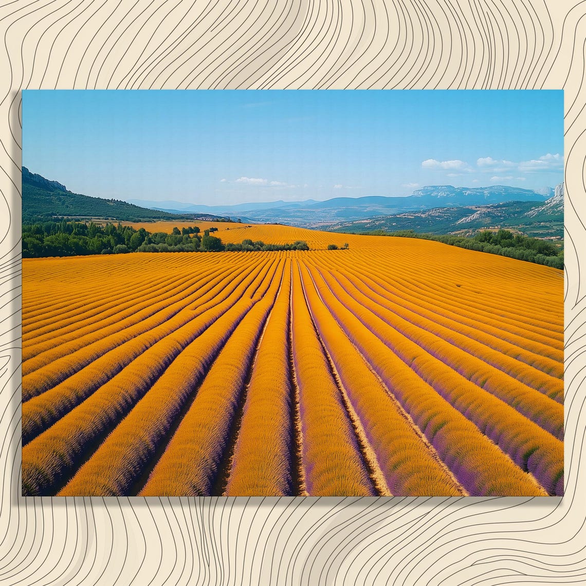 Provence Lavender Field Canvas Wall Art Aerial Landscape Photography Print Of Golden Rows French Countryside View Farmhouse Decor