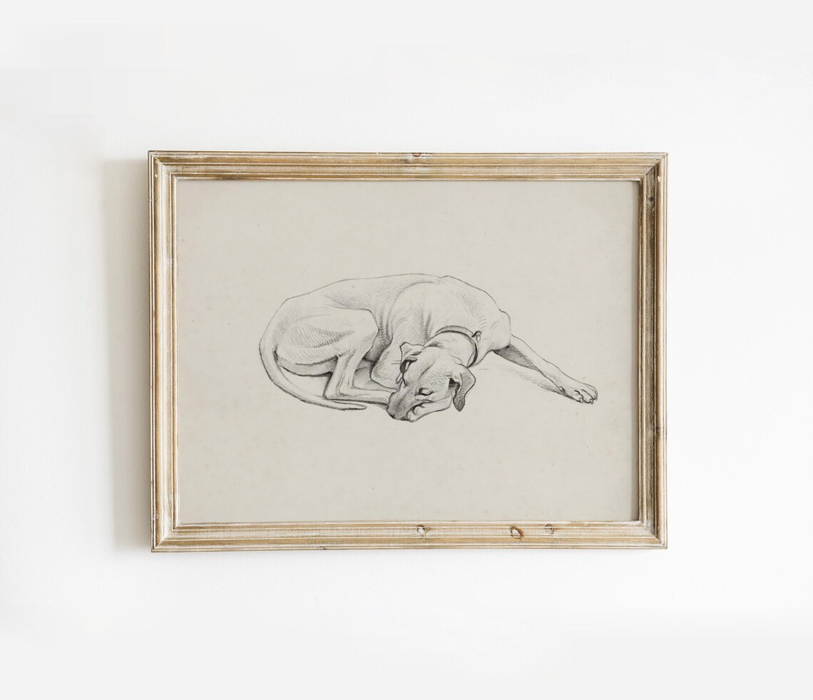 Sweet Vintage Sleeping Dog Delicate Pencil Sketch Portrait Poster - Image 2