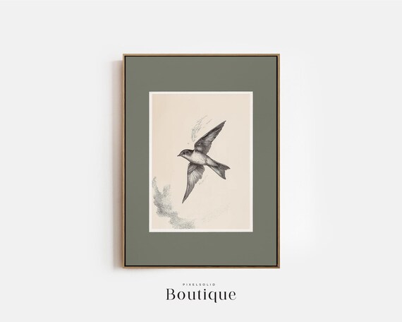 Swift Bird Art Print Black White Swallow Illustration For Nature Lovers Antique Style Wall Decor Rustic Home No480